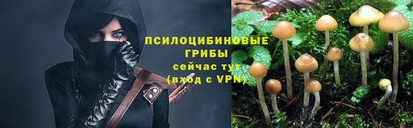 дурь Арсеньев